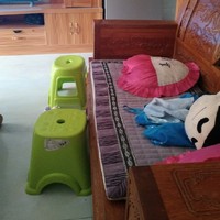 冰帝穿越赛尔号