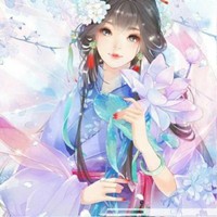 四季组合