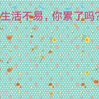 作者时更时不更