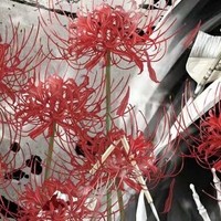 溫情恐怖
