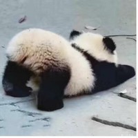 苦逼的大学生活