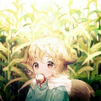 面碼