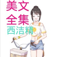 西洁精美文