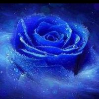 請點(diǎn)個(gè)贊哦