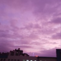 青春蛋疼