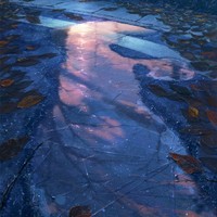 浪漫至死不渝