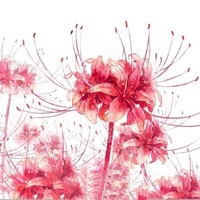 沙雕含温存