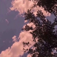 帅气王妃