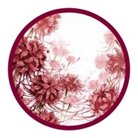 迷途彼岸