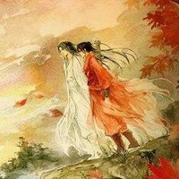 布王