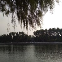 心血来潮的往事