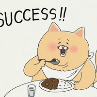 残念猫
