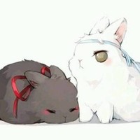 對(duì)不起拆了忘羨