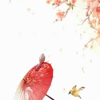小長篇