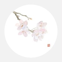 甜文he