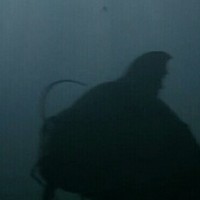 大魚