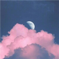 意林