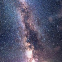 程萧王一博