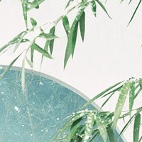 耳聋少年
