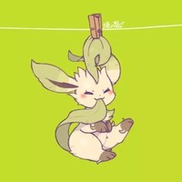 叶伊布