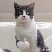 随心所欲可以自己创作