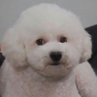 虐爆渣男