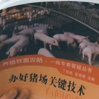 自制小说