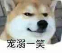 醉不成欢邀请驻站