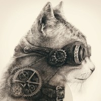 steam
