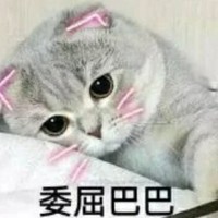 夢雨笙蝶邀請駐站