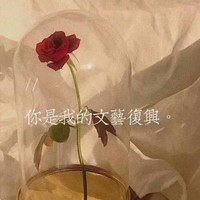 不走感情线