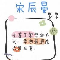 宋辰晏