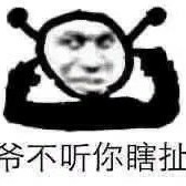 真的服了