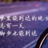 陈情往事