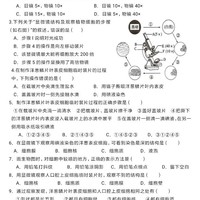 紫衣人