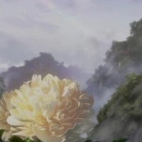 手书改文
