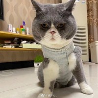 jh