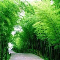 作者新手菜鸟