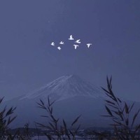 林子軒