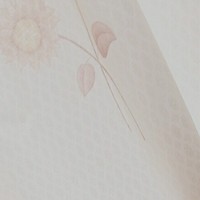 随笔小记