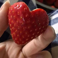 先生的童話