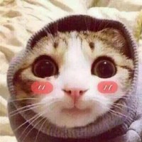 系统没充钱