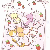 猫咪咖啡厅
