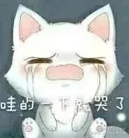有搬運(yùn)文