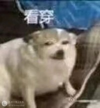 九組林挽邀請(qǐng)駐站