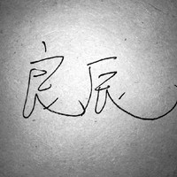 这个太子妃路子野