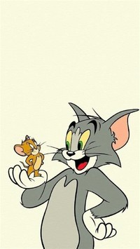 猫鼠杂文