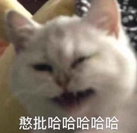 勉强能瞅