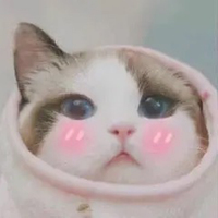 快穿欢脱