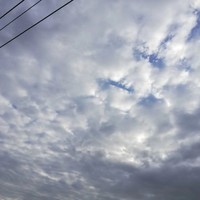 人物自定
